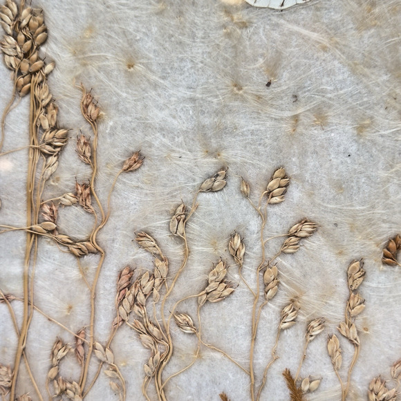 Vintage Antique Pressed Real Butterfly Tray Framed Botanicals 14.5" x 11" - Picture 6 of 16